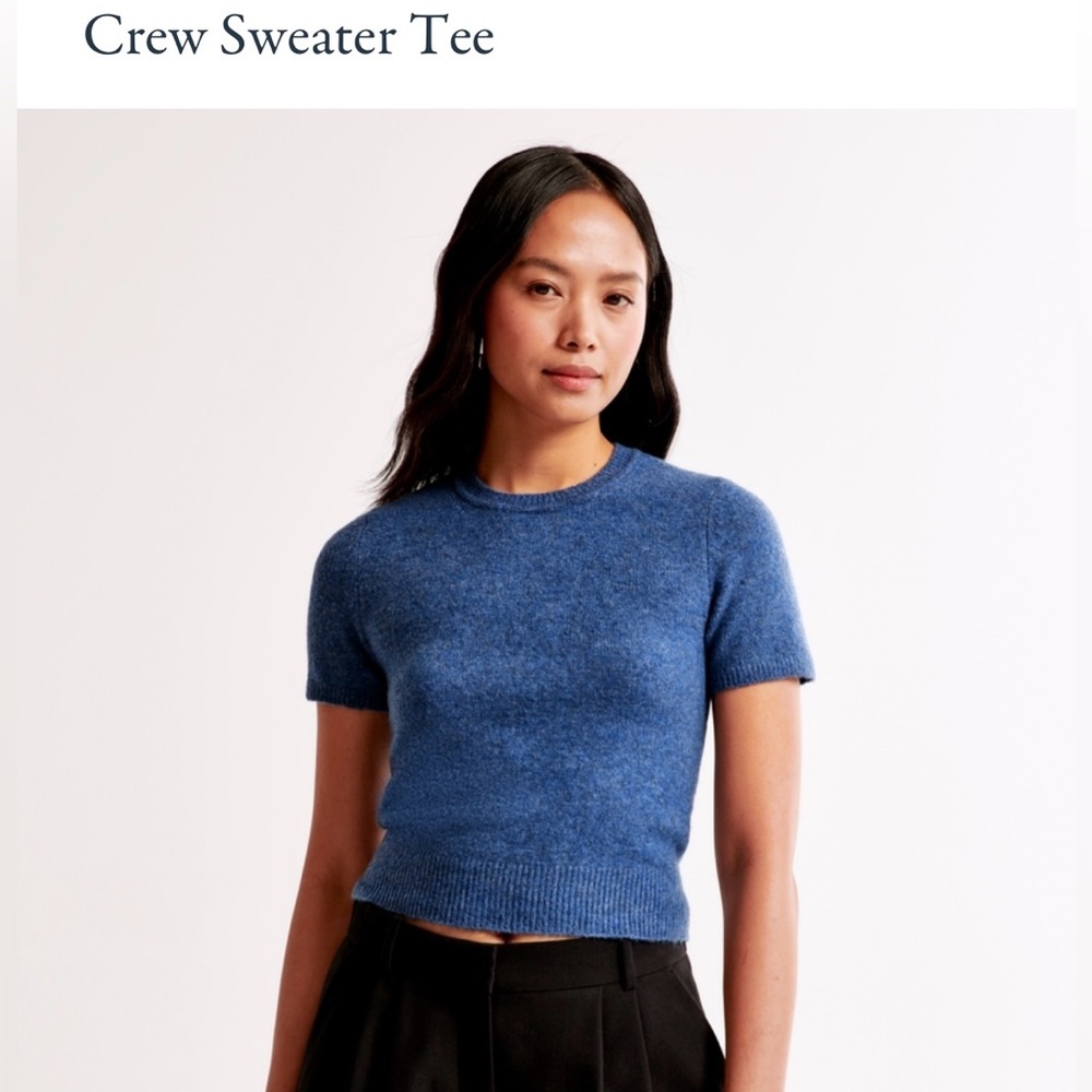 NWT Abercrombie & Fitch Crew Sweater Tee XL